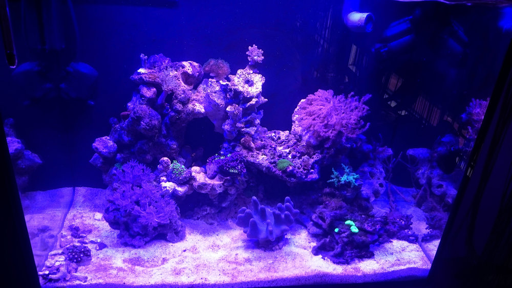 DSC_1061.JPG