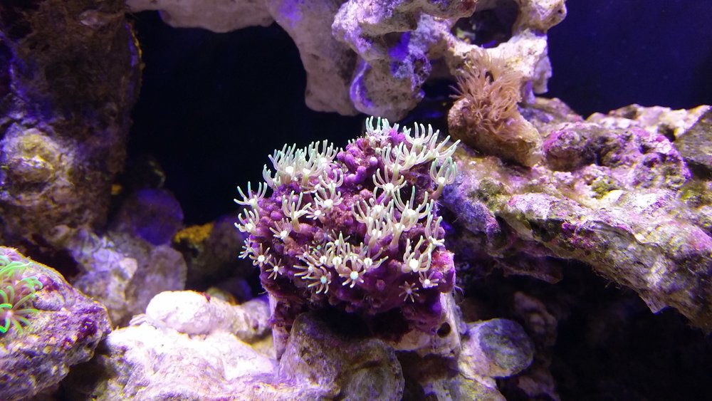 20160514_220129.jpg