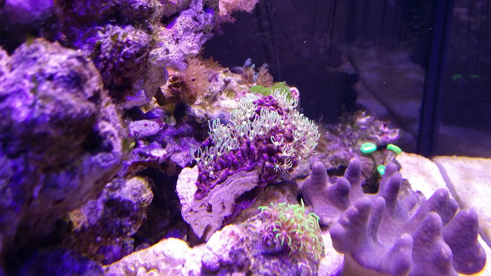 20160514_220540.jpg