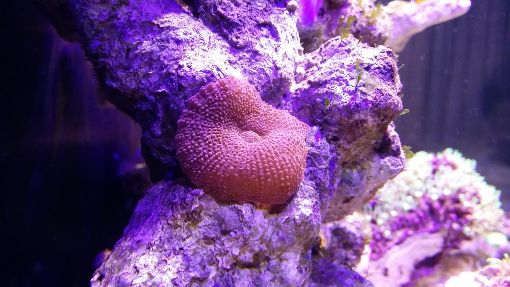 20160514_220508.jpg