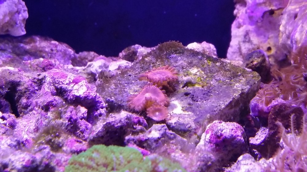 20160514_220315.jpg