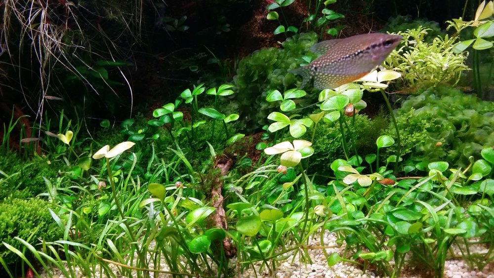 20160514_225250.jpg