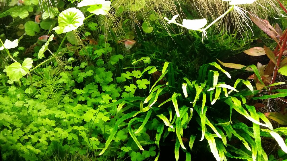 20160514_225317.jpg