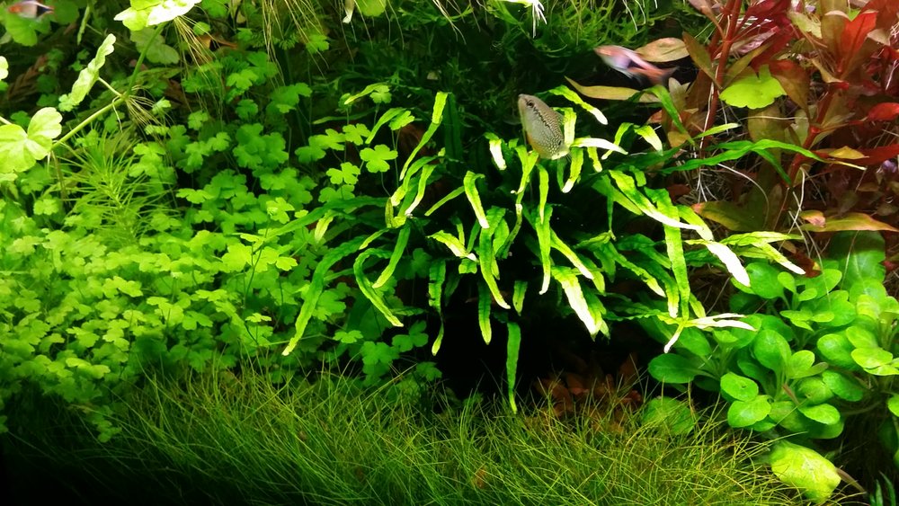 20160514_225327.jpg