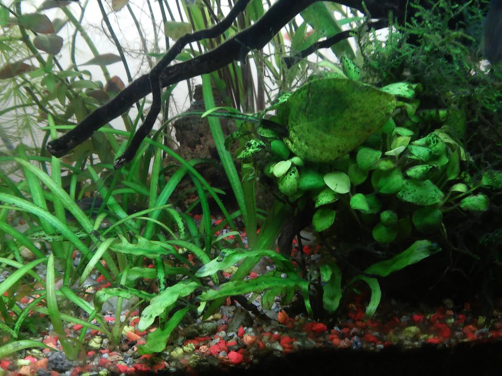 20160516_124106.jpg