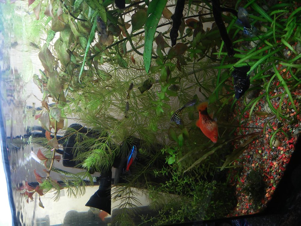 20160516_124039.jpg