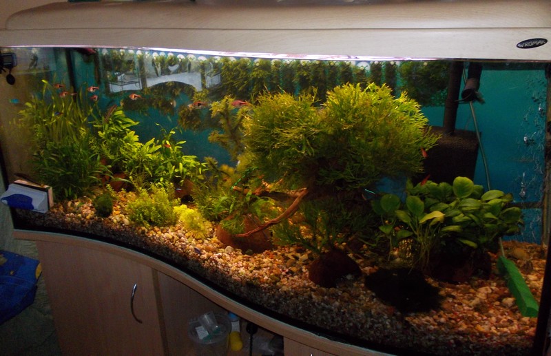 DSCN0925.jpg
