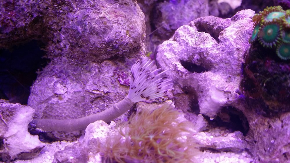 20160524_213053.jpg