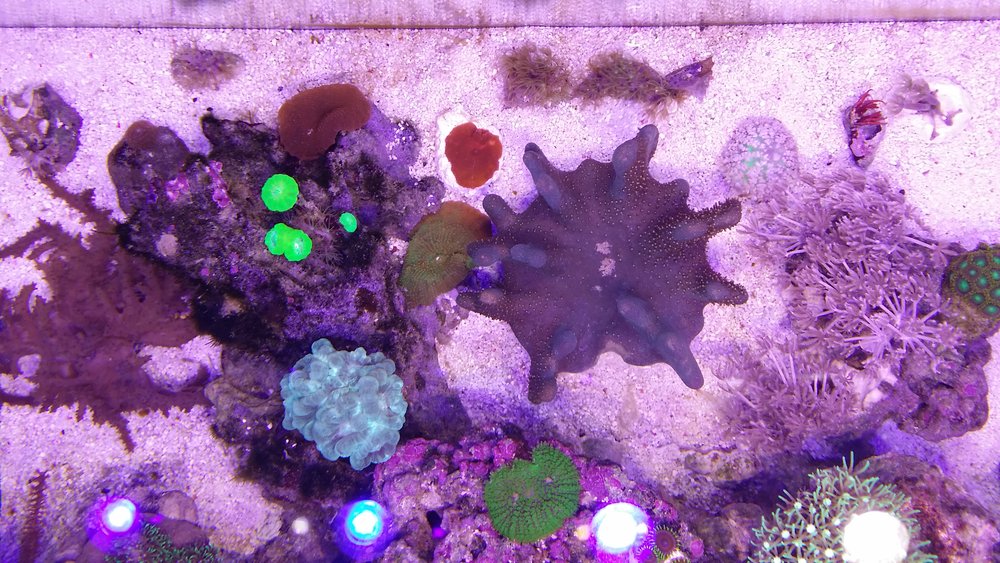20160525_213638.jpg