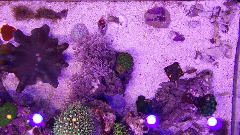 20160525_213647.jpg
