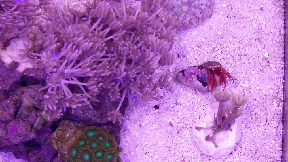 20160525_213713.jpg