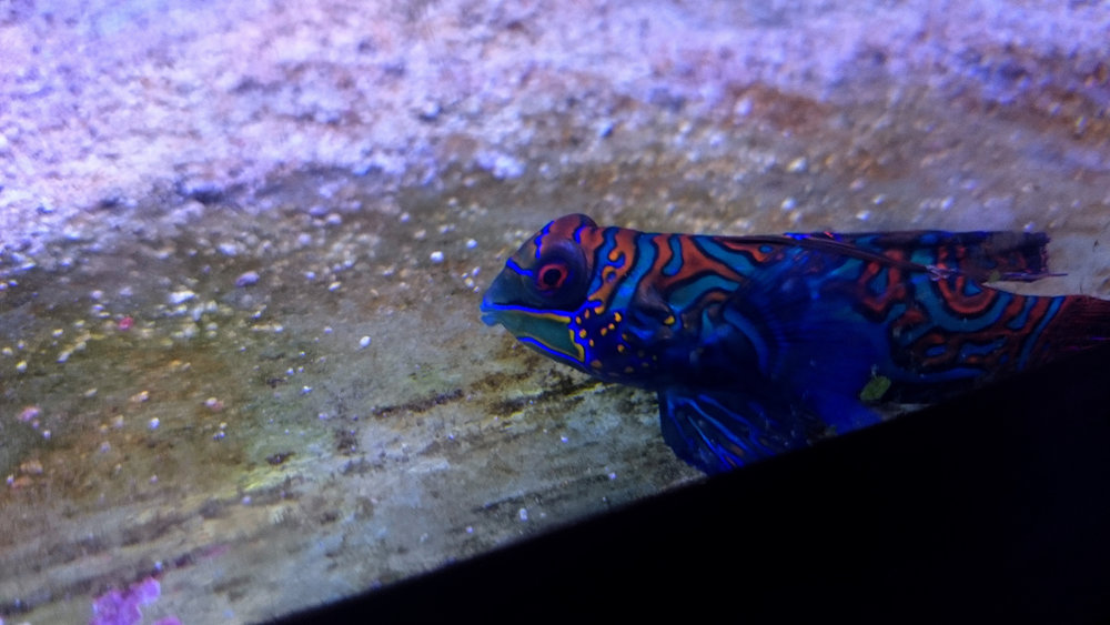 DSC_1067.JPG