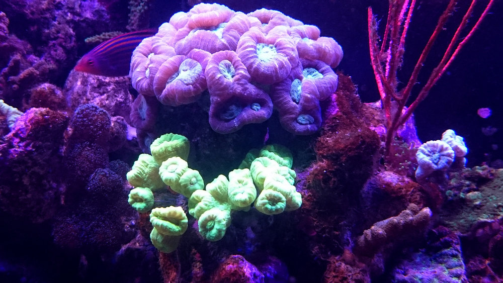 DSC_1111.JPG